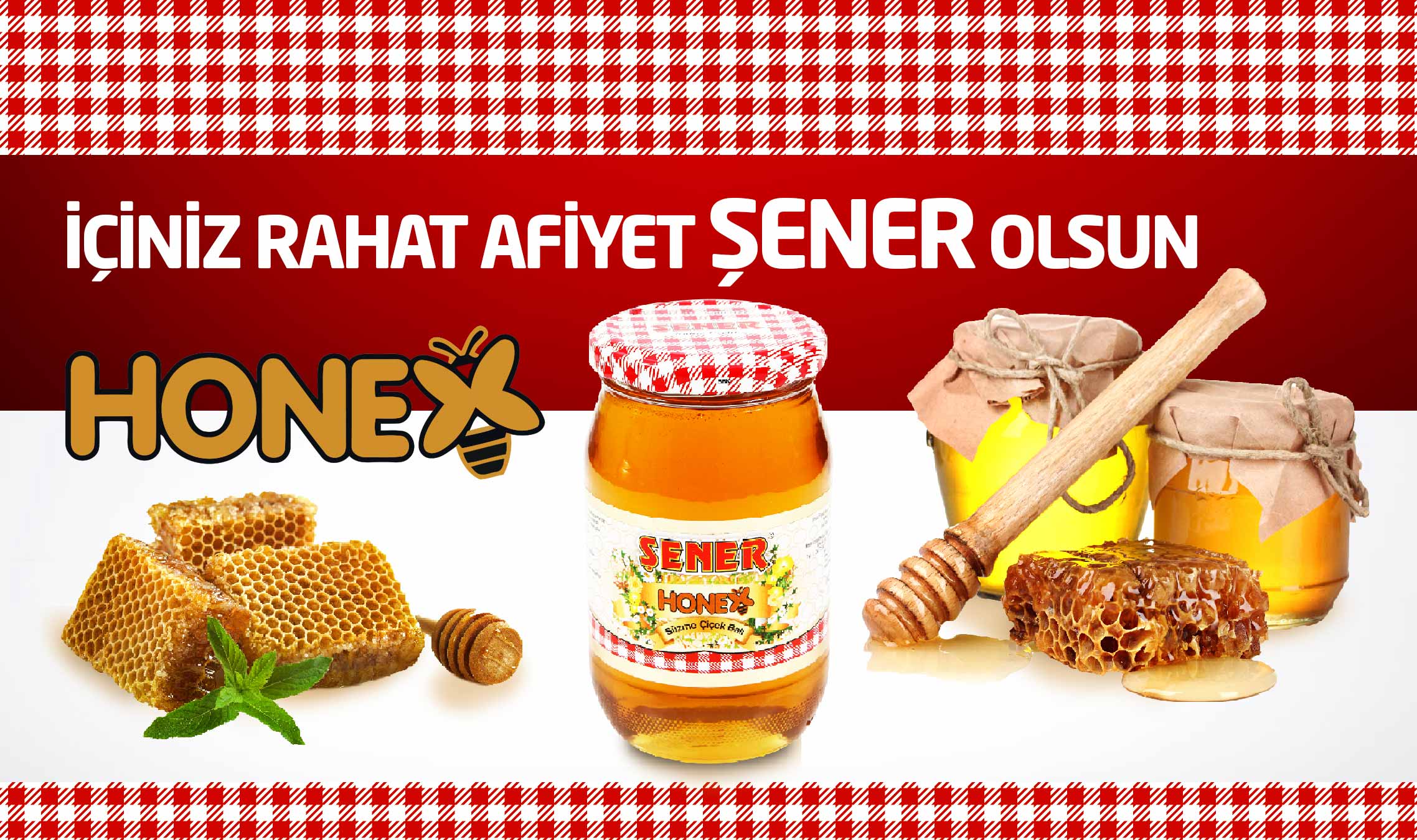 Anasayfa